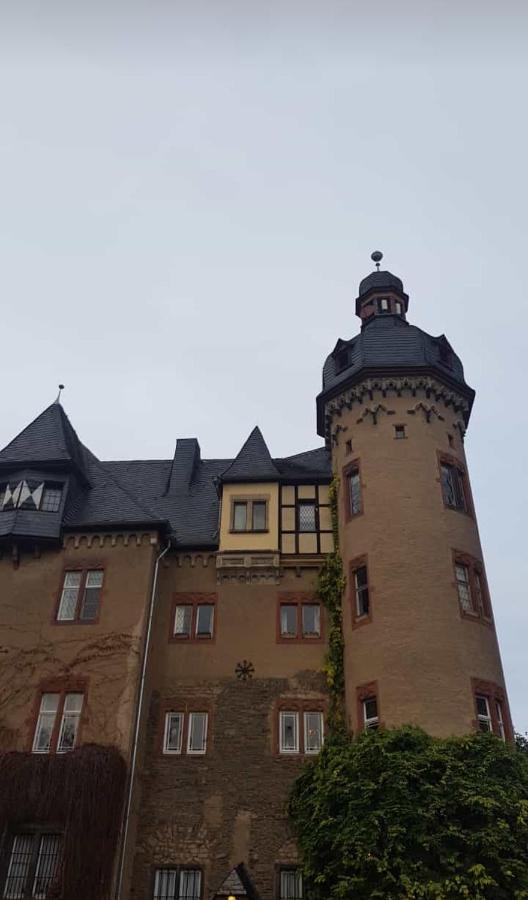 Ferienwohnung Am Geysirzentrum Andernach Exterior photo